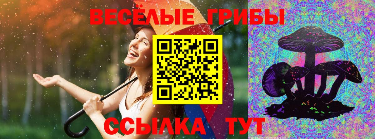 Тулун  сколько стоит  Вход с VPN  Псилоцибиновые грибы Psilocybine cubensis 