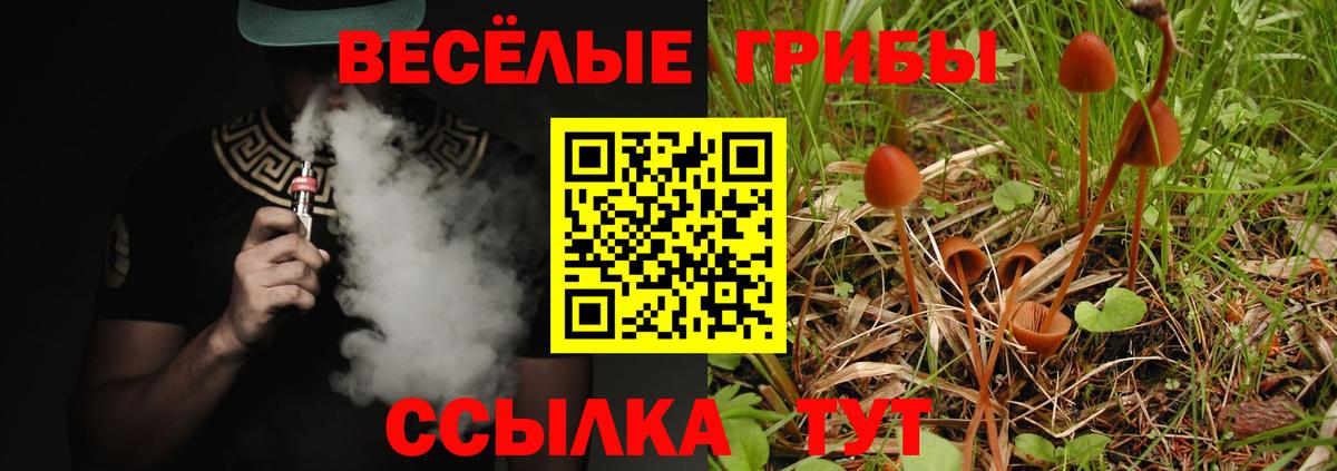 Галлюциногенные грибы Psilocybine cubensis Тулун